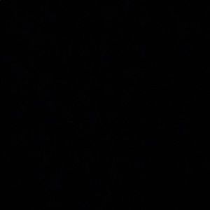 Meet your Posher, Jada